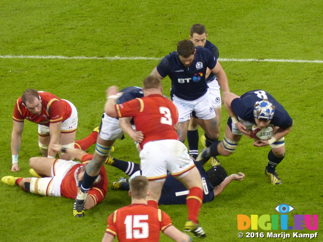 FZ025485 Rugby Wales vs Scotland